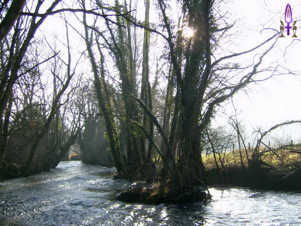 Espace No 20 : Retrouver son calme est toujours possible, il suffit d'observer, de voir, d'écouter, de rester soigneusement immobile. Enfin, expirez pour évacuer vos soucis et inspirez sereinement les énergies du lieu...