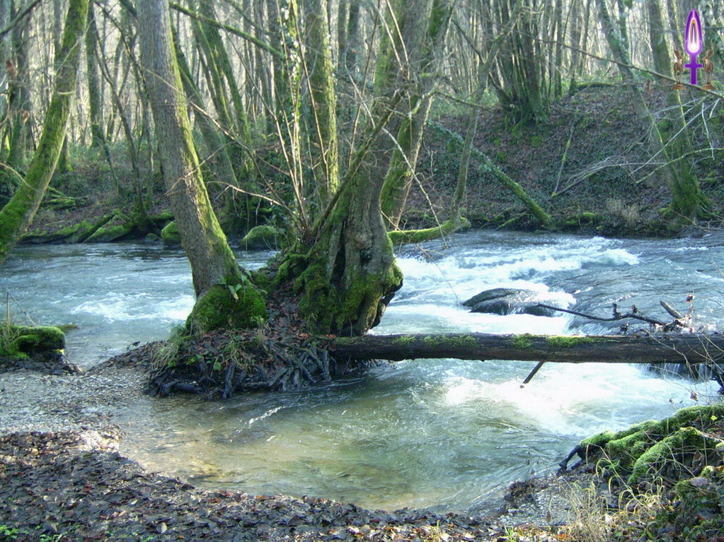 Espace No 21 : Fusionner avec notre véritable nature, réussir à en percevoir pleinement tous<br>les constituants qui la compose et comprendre que nous ne devons plus l'abandonner à d'autres...