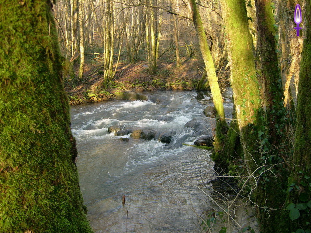 Espace No 25 : Suivre son propre chemin peut inquiéter mais n'est-ce pas plus simple. Ça impressionne mais suivre le chemin d'une autre personne, c'est toujours s'imposer des pressions supplémentaires...