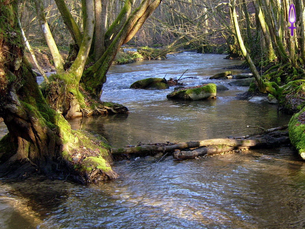 Espace No 26 : Ne plus faire barrage à tout ce qui vient est une très sage attitude. Où seront ces deux troncs après la prochaine pluie si personne ne les retient ? 