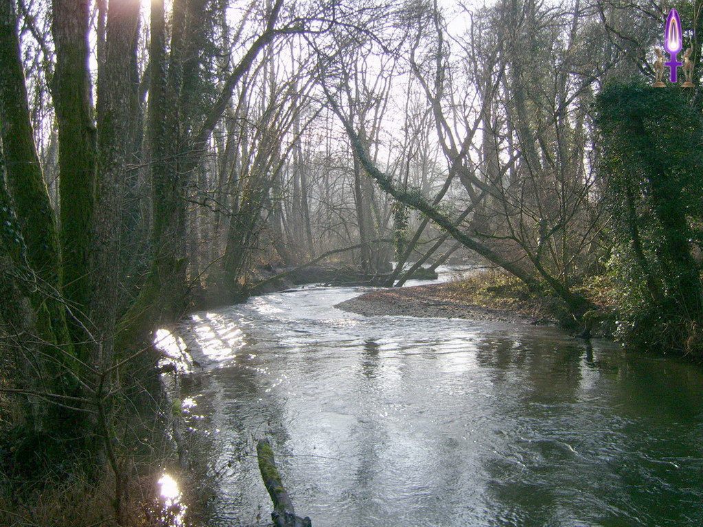 Espace No 27 : Ressentir toutes les ondulations de son corps, l'éveiller en favorisant un mouvement à droite, puis un mouvement à gauche et recommencer jusqu'à l'ivresse. Cette mobilité, c'est la Vie...