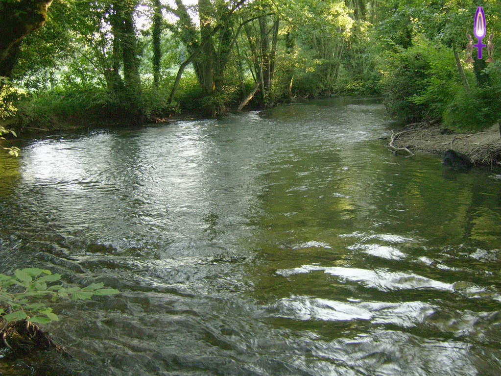 Espace No 28 : Pouvoir enfin se laisser aller à la détente, agrandir son espace d'évolution sans mettre la moindre limite. Plus loin, le cours de la Versoix grandit lui aussi...