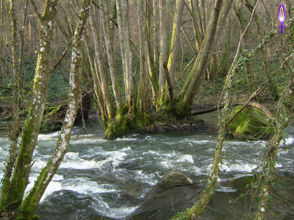 Espace No 30 : Comment peut-on être certain que la branche à laquelle on voudrait s'accrocher ne va pas céder alors que, à l'instar du roseau, nous sommes sûrement capables d'attendre que le calme revienne...