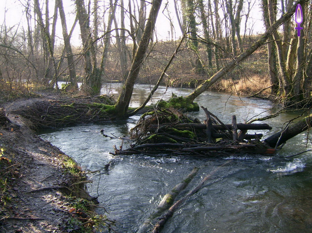 Espace No 31 : Se libérer de nos vieux schémas, ne pas hésiter à vider cave et grenier, fait que ça élargi considérablement l'espace devant nous et nous permet de continuer notre chemin...