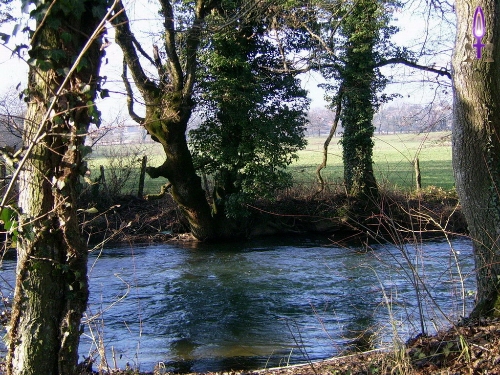 Espace No 34 : Au-delà de ce cadre idyllique entre ces quatre arbres, tout est là pour découvrir d'autres espaces, pour s'y poser un instant avant de continuer notre marche en avant...