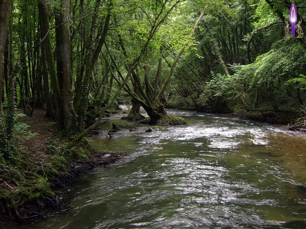 Espace No 35 : Se laisser pénétrer par une belle lumière, la découvrir de plus en plus puissante, voir que les feuillages s'en nourrissent alors pourquoi pas nous ?
