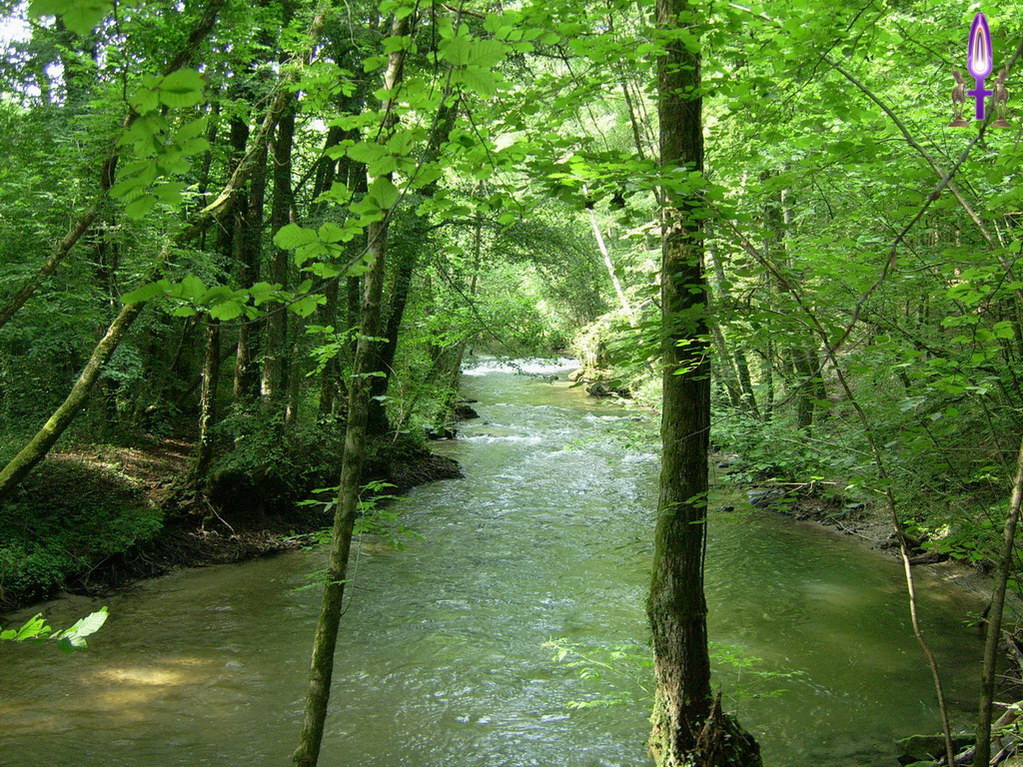 Espace No 36 : D'un simple coup de rein, vous pouvez vous décider à passer entre les obstacles qui n'en sont pas vraiment pour aller enfin de l'avant, vers la Lumière, vers la Vie...