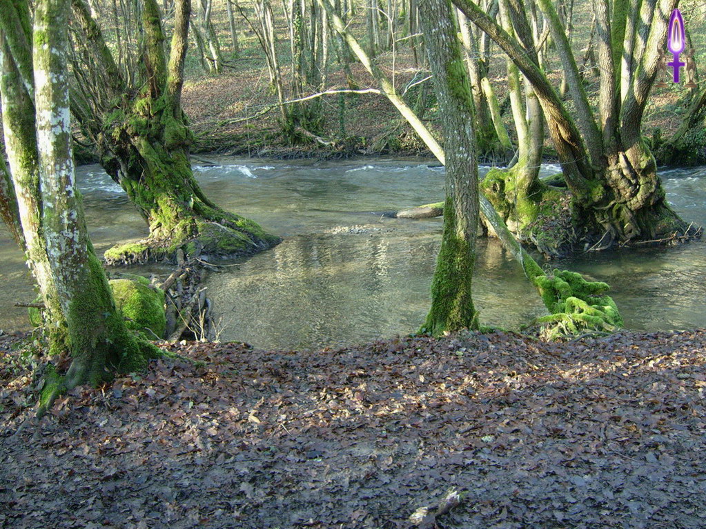Espace No 37 : Même quand le flux de la Vie nous semble tumultueux, il y a toujours un espace de détente où nous pouvons en profiter pour nous retrouver dans le calme...