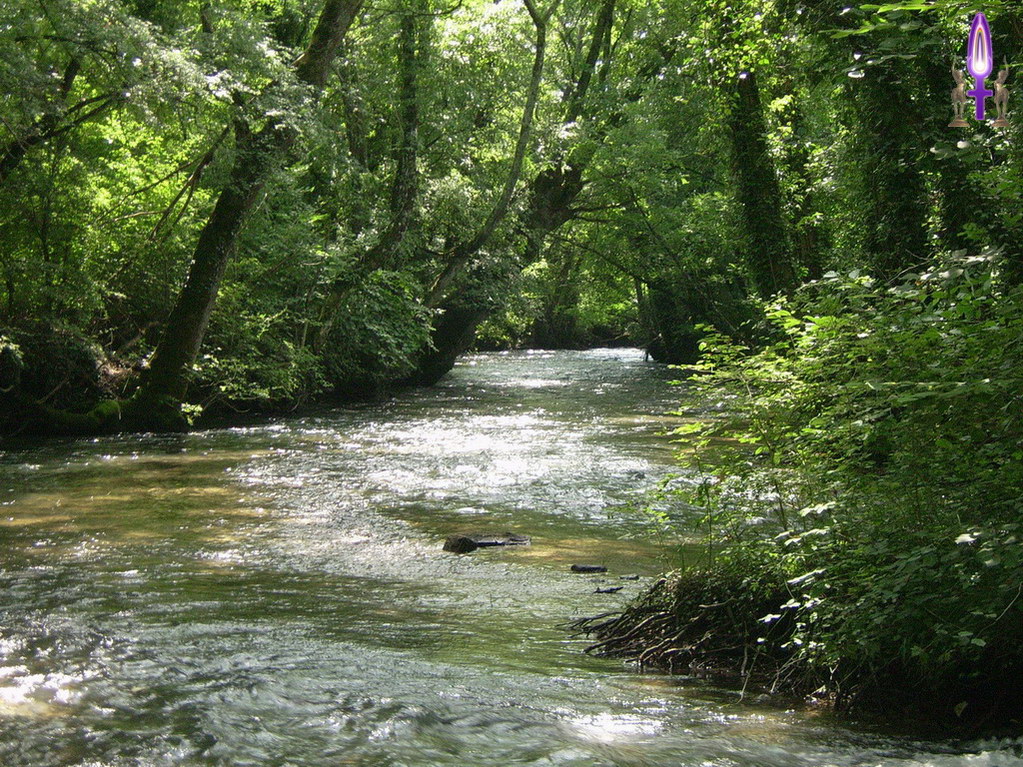 Espace No 38 : Se laisser simplement aller d'un bord à l'autre, glisser des zones d'ombres à celles qui flamboient dans la lumière, c'est dans le mouvement que tout devient léger...