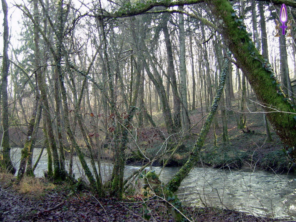Espace No 39 : même quand ils sont courbés par les éléments déchainés, les arbres continuent de grandir vers la Lumière. Faites-en autant, redressez-vous et faites grandir votre horizon...
