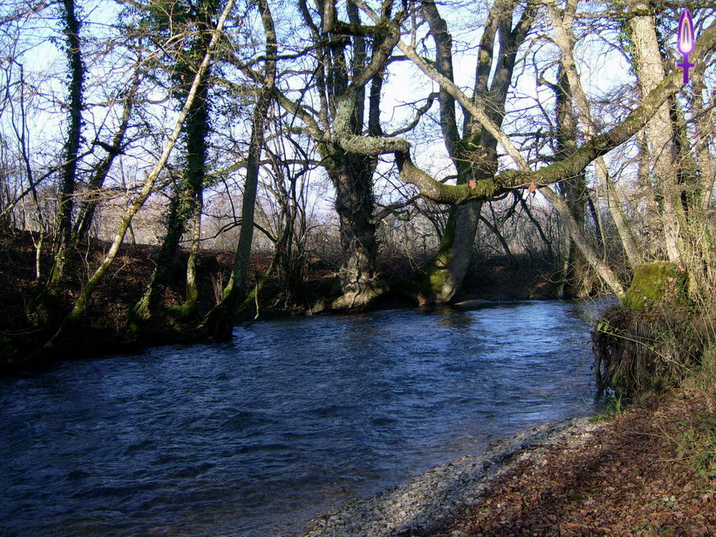 Espace No 40 : Chaque automne, les arbres se débarrassent de leurs feuillages. Après une régénération hivernale, ils reprennent leurs progressions. Faites-en autant, ressourcez-vous afin de vous alléger...