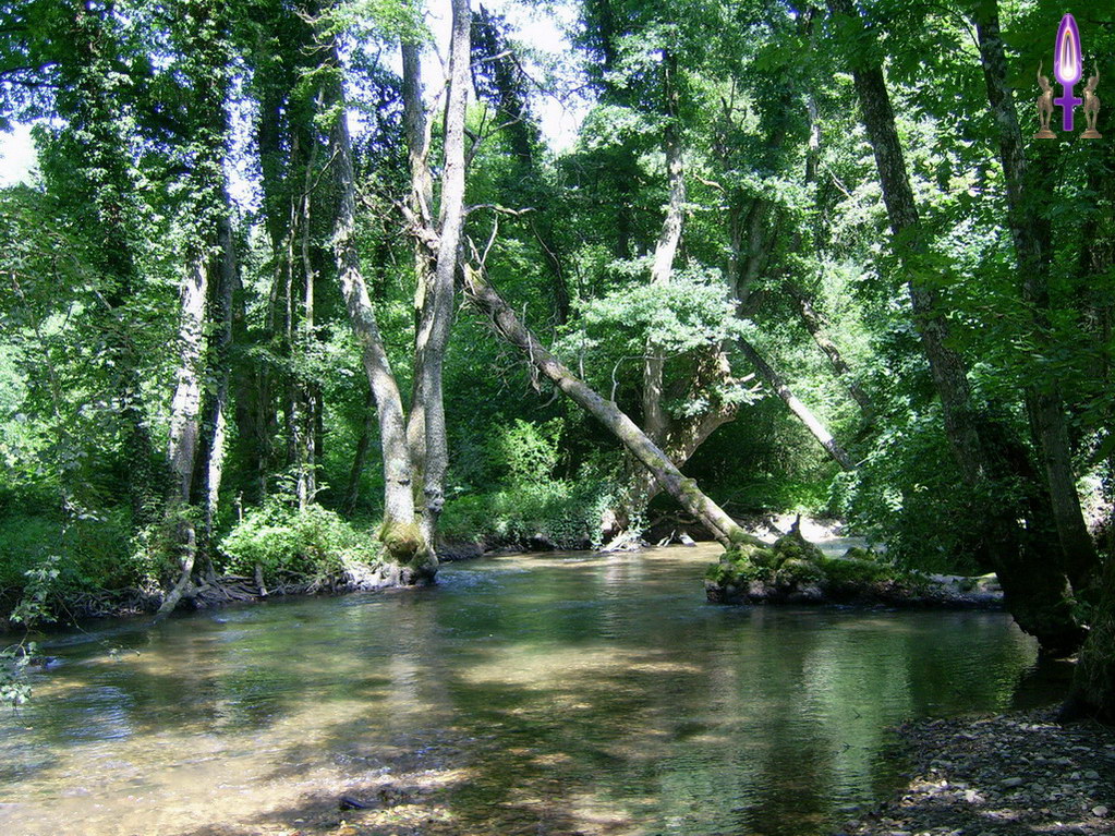 Espace No 41 : Continuer à sourire tout naturellement à la Vie, même quand certains éléments nous paraissent très affaiblis, est la meilleure façon de nous enraciner de nouveau...