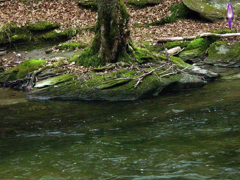 Espace No 43 : Retrouver son équilibre, ce n'est possible que dans l'immobilisme alors que dans l'action, cette notion n'a plus du tout la même importance...