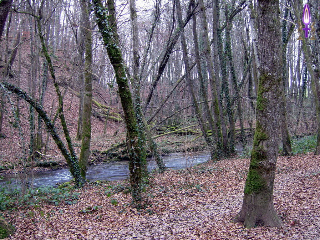 Espace No 44 : Rester bien aligné dans son environnement nous permet de réaliser ce pourquoi on est ici. Vouloir grandir ailleurs, c'est comme s'engager dans une voie sans issue, dans une impasse...