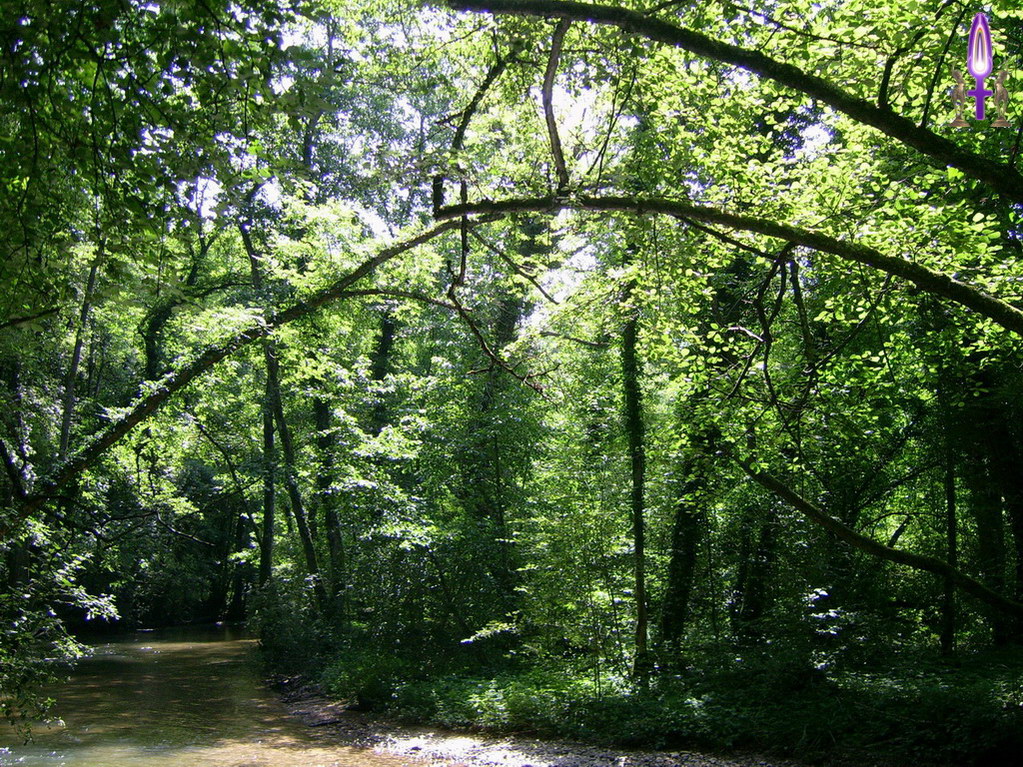 Espace No 45 : Se rapprocher des autres, cela peut occulter la lumière si c'est fait dans l'intention de gagner mais ça ne peut que tendre vers l'harmonie quand le rapprochement se fait dans la plus grande simplicité...