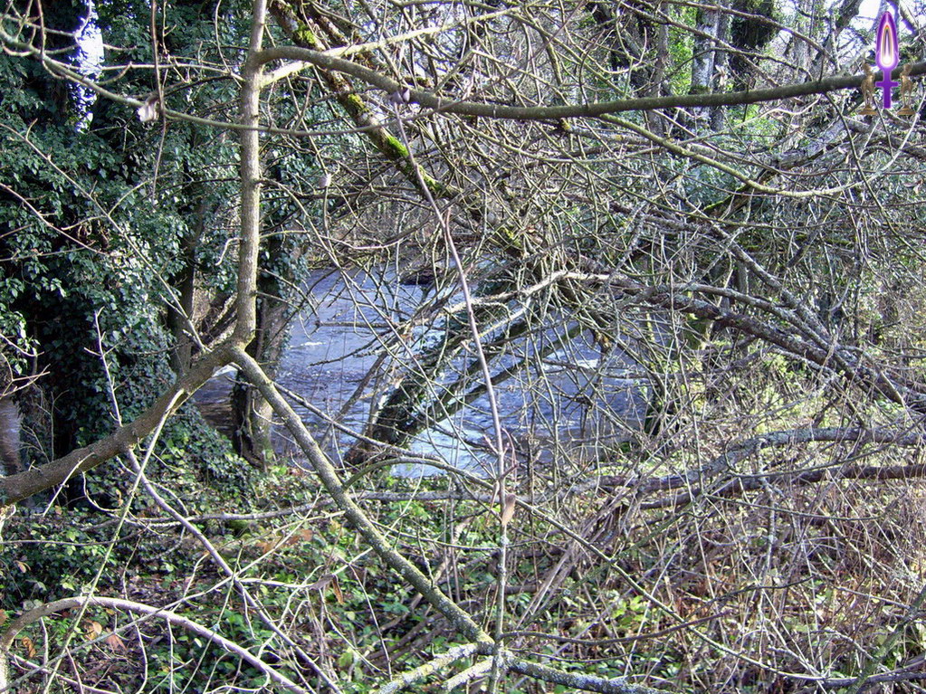 Espace No 46 : Pourquoi vouloir traverser les points épineux de notre vie… Marquez une pause, regardez derrière vous, à droite ou à gauche, il y a toujours un passage bien plus aisé à suivre pour rejoindre la rive...