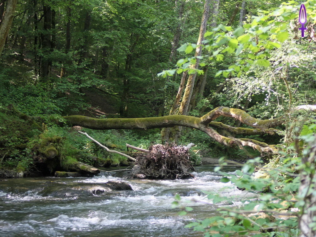 Espace No 49 : Qu'importe les obstacles, ils sont là pour être franchis et plus on y va de bon cœur, plus c'est facile alors qu'ils grossissent quand on essaie de les contourner...