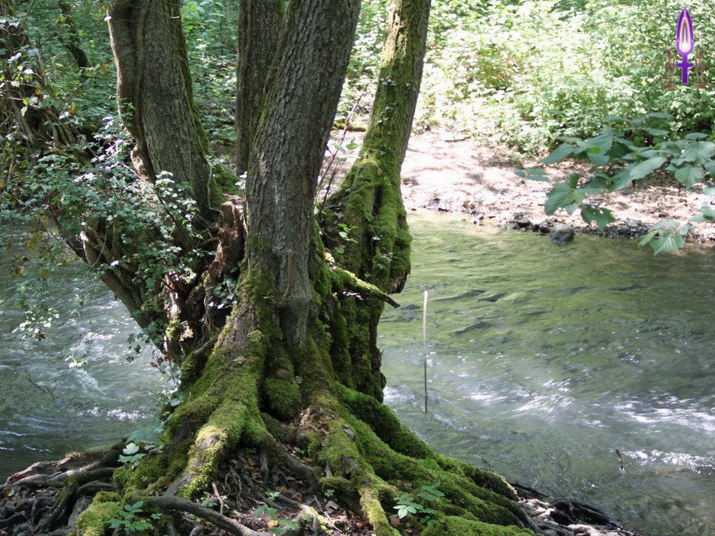 Espace No 51 : Se regrouper pour aller vers un même but est la chose à faire pourvu que tous aillent dans le même sens, qu'ils acceptent de vibrer en même temps et surtout, de se pauser ensemble...