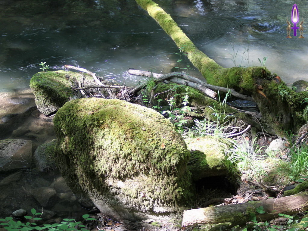 Espace No 55 : C'est l'imaginaire que nous avions enfant qu'il nous faut retrouver en ces lieux. Les rochers, les vieilles souches peuvent faire émerger des formes étonnantes, en lien avec les élémentaux de la Nature...