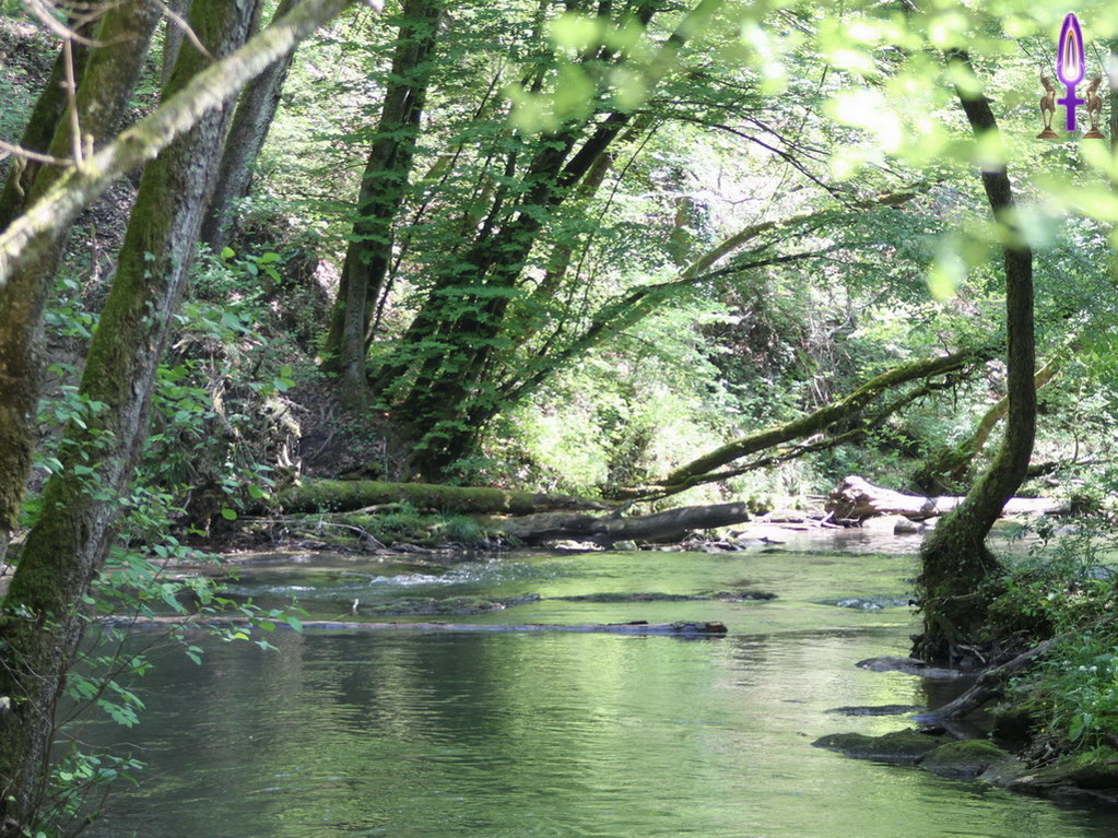 Espace No 56 : Même s'ils sont victimes de l'érosion des berges et de la force du vent, ces arbres continuent de grandir vers la Lumière tout en se soutenant les uns les autres...