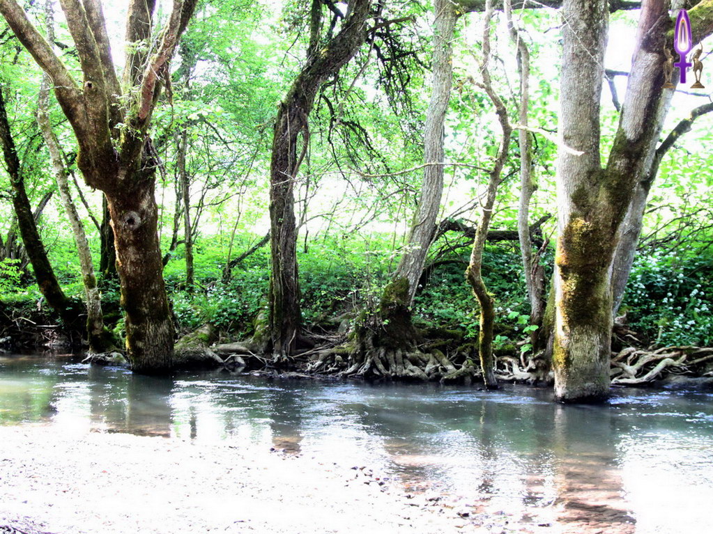 Espace No 57 : Grandir entre les Éléments de l'Eau, de la Terre et du Ciel, c'est l'aspiration de beaucoup de personnes mais combien prennent trop de place et combien n'osent pas prendre leur place ?
