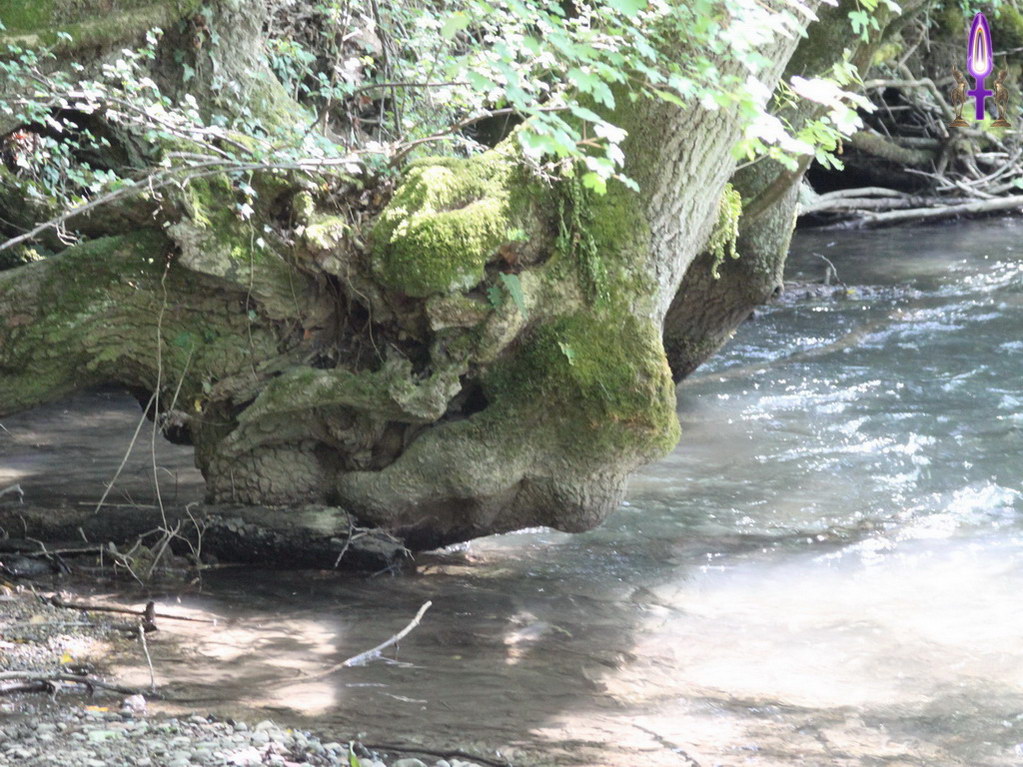 Croix de Lumière, Photo de la Série VERSOIX No 58 