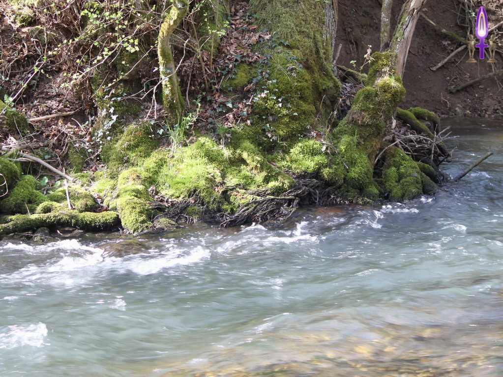 Croix de Lumière, Photo de la Série VERSOIX No 59 