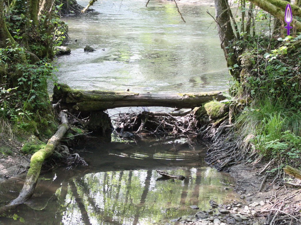 Croix de Lumière, Photo de la Série VERSOIX No 010 