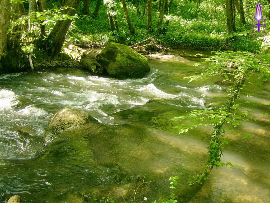 Espace No 64 : Ne craignez surtout pas de vous glisser dans le courant, les obstacles ne sont là que pour donner plus de force à votre cheminement, jamais pour vous immobiliser ou vous briser...