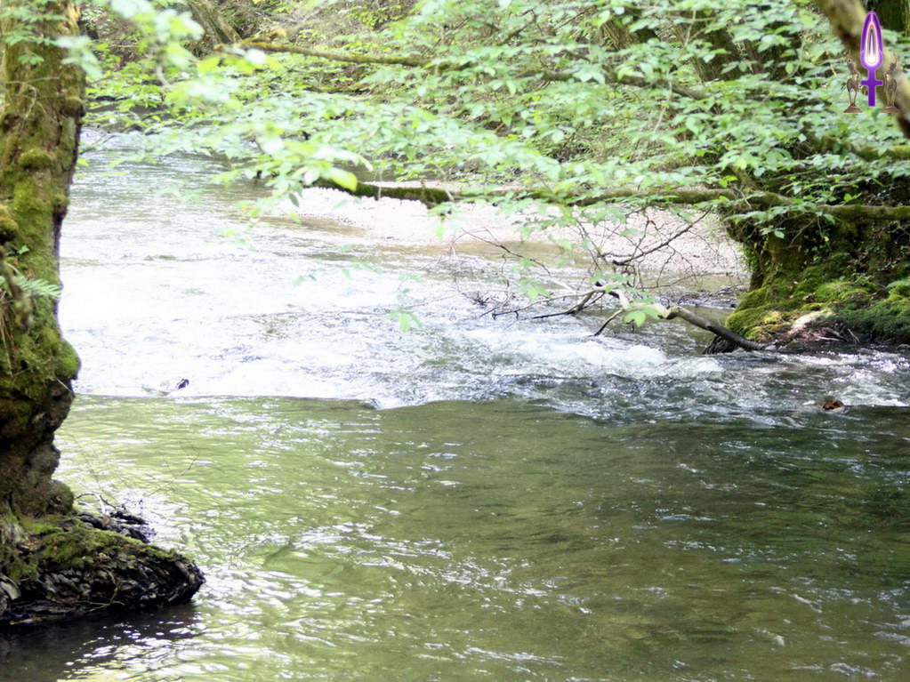 Espace No 66 : Que vous pensiez à un tremplin ou à un plongeoir, c'est certainement le moment de vous lancer dans le courant, sans retenue mais aussi sans attente qui risquerait de vous alourdir...