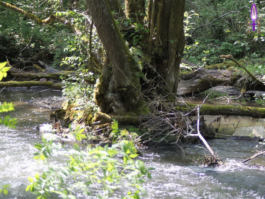 Espace No 67 : Le plus grand protège le plus petit qui peut alors se préparer à grandir. Ici, chacun trouve sa place et nous devons en faire de même. Accepter de prendre sa place, c'est retrouver le vrai sens de sa Vie...
