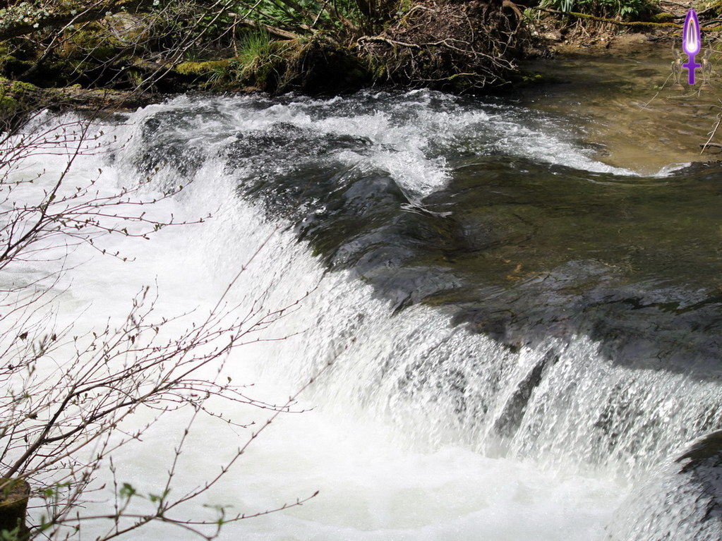 Espace No 70 : Évitez d'aller à contre courant, c'est physiquement épuisant et moralement incompréhensible. Vous passerez tout votre temps dans un état de fatigue inutile. Les saumons le font mais n'en reviennent pas...