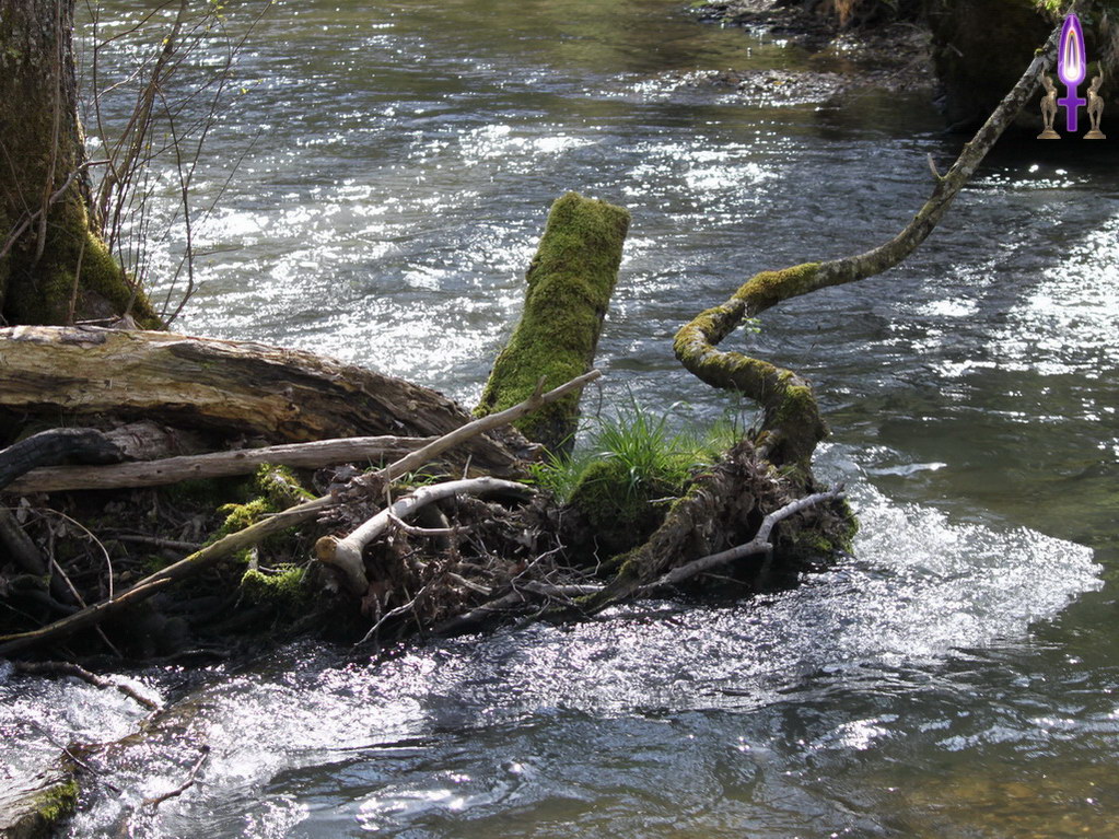 Croix de Lumière, Photo de la Série VERSOIX No 71 