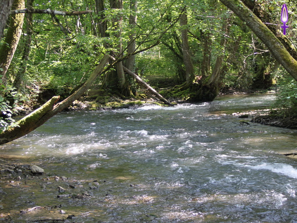 Espace No 72 : Regarder derrière, c'est rassurant mais beaucoup en profitent pour s'immobiliser, pour reculer. Se retourner n'est vraiment utile que pour mesurer le chemin parcouru, pour mieux continuer de l'avant...