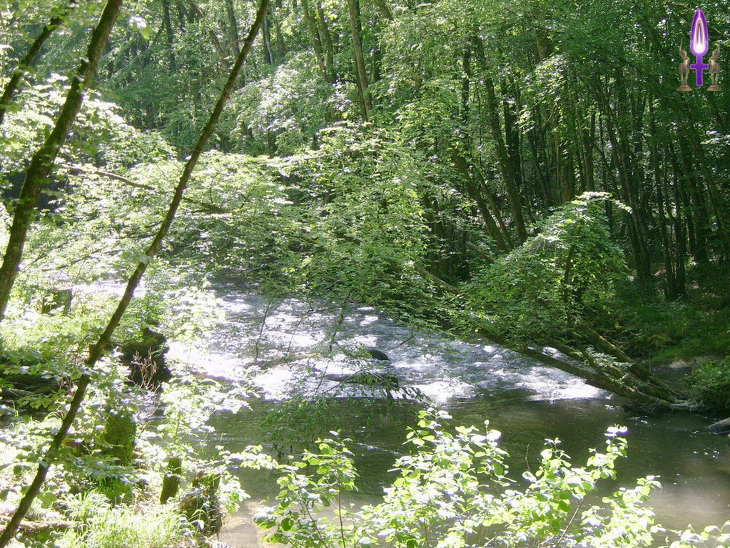 Espace No 77 : Saviez-vous que la Versoix bénéficie d'une couverture peu commune, un espace où tous les éléments de la Nature apparaissent dans de gracieux mouvements, dans une danse pleine de joies...