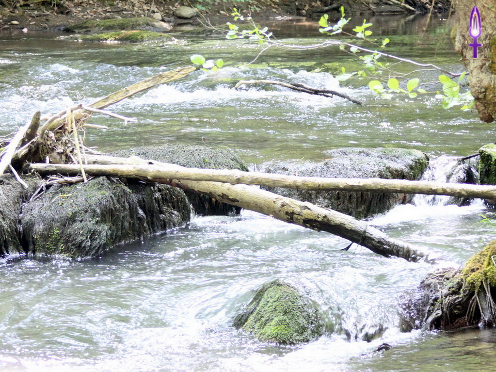Espace No 78 : Surtout, n'hésitez pas à changer de bord, la vision n'est plus du tout la même et cela permet très souvent de découvrir des détails importants que nous ne pouvions percevoir...