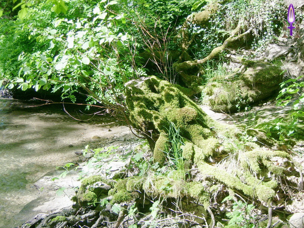 Espace No 81 : Même si nous sommes affaiblis, il est important de continuer à suivre le cours de l'eau, nous progresserons moins vite mais nous continuerons de progresser et cette volonté nous élève vers le Ciel...