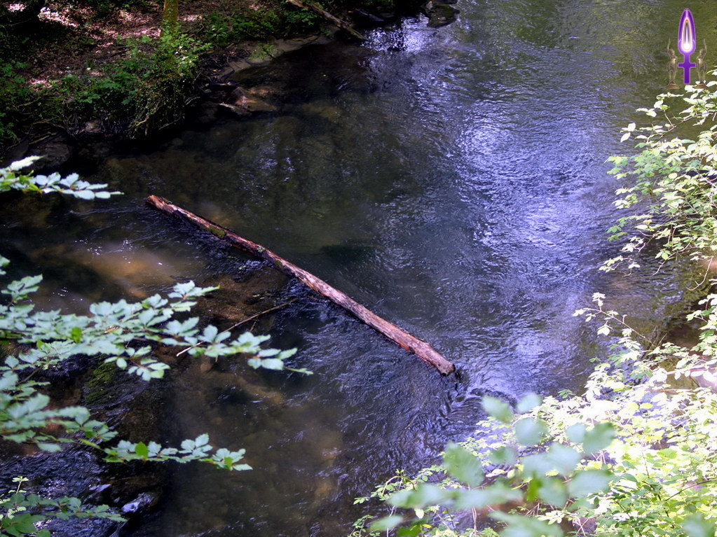 Croix de Lumière, Photo de la Série VERSOIX No 82 