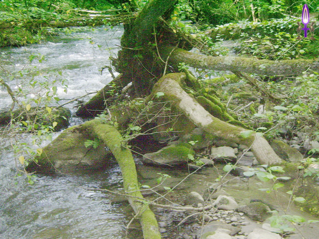 Espace No 84 : Vous hésitez encore à vous glissez dans le courant, c'est humain mais ce n'est pas le meilleur choix. La Versoix continue de vous tendre ses bras, laissez vos peurs sur la rive, vous ne risquez rien...